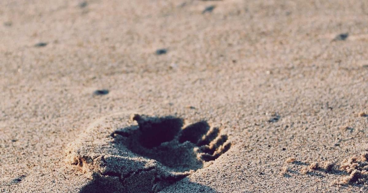 Google Is Closing the Door on Ad-Blockers in Chrome and Beyond