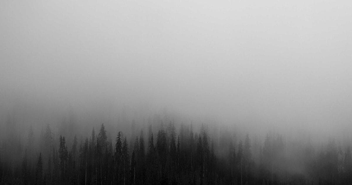 Squarespace Promo Codes: 20% Off in June 2026