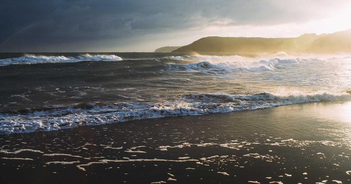 VSCO Launches All-in-One Platform for Professional Photographers