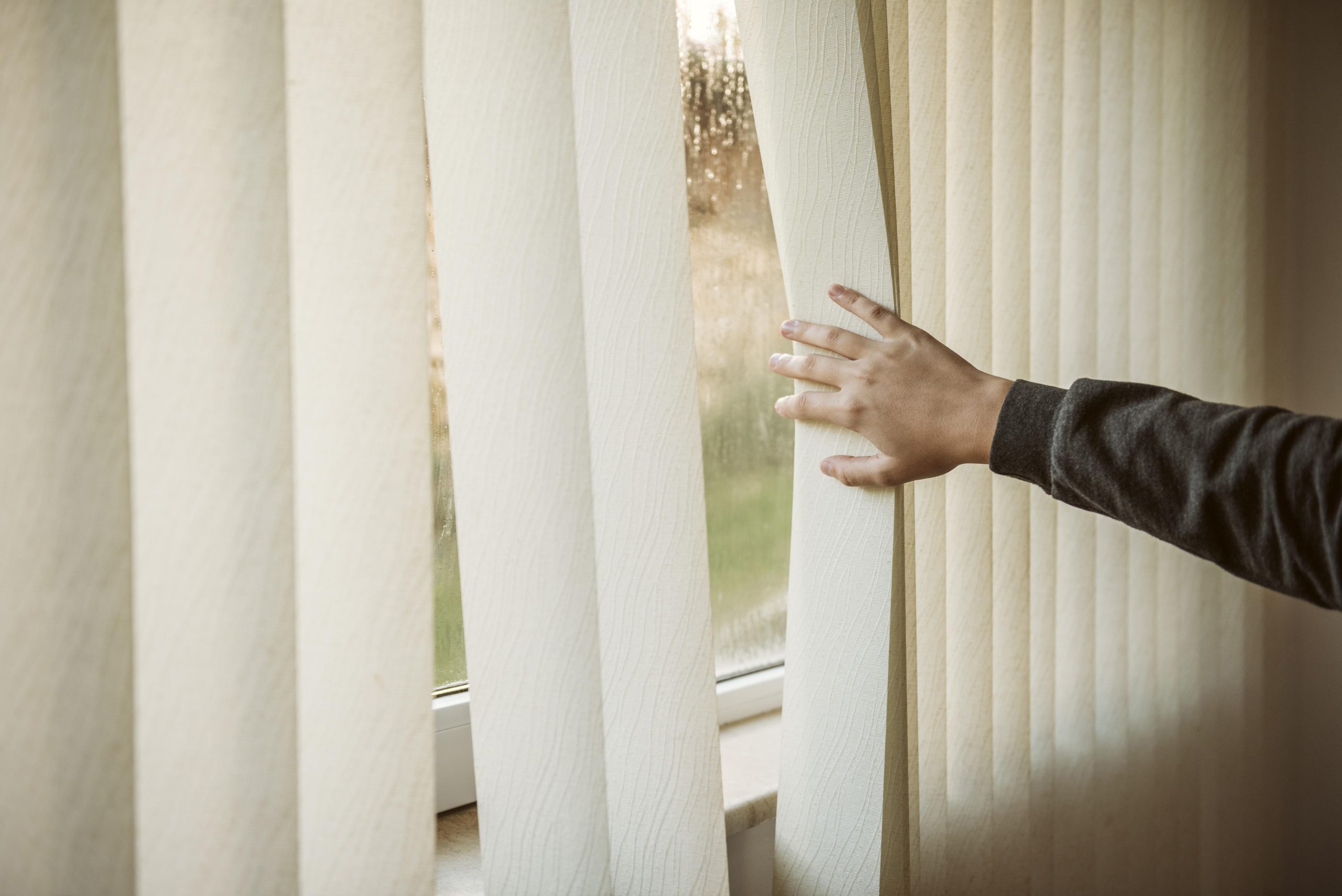 Add Roller Blind Installation Ad